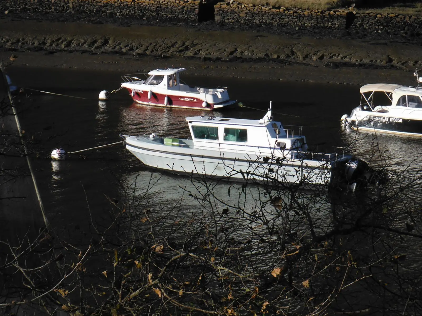 bateau à moteur Seanergie